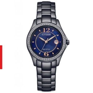 Citizen Eco-Drive FE1255-84L 29.5mm, black ion-plated stainless steel Watch